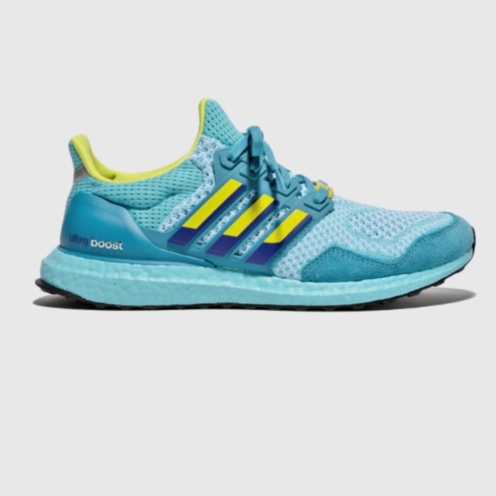 ultraboost 1.0 DNA shoes
